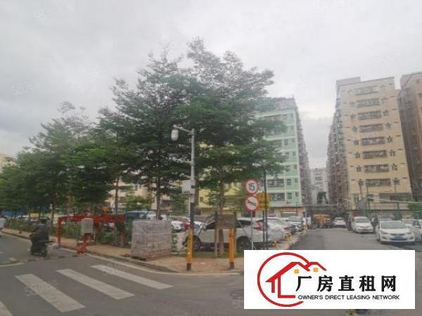  龙华大浪华荣路新出楼上550平有吊机口