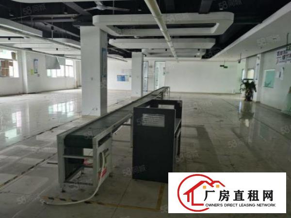  龙华大浪行政中心新出楼上精装修厂房1300平厂房出租