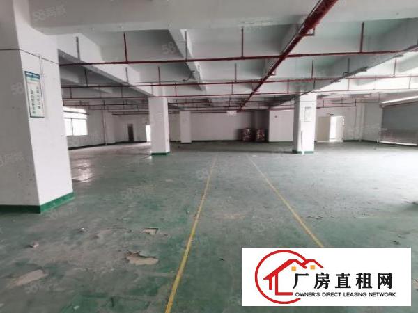  大浪商业中心附近高新园区3500平厂房出租