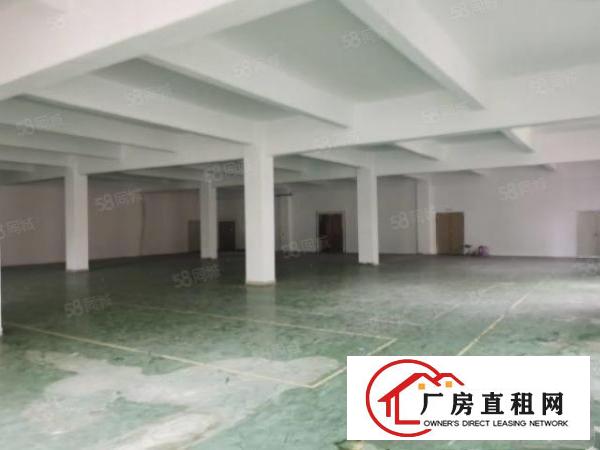  龙华大浪上横朗第二工业区1550平红本厂房，真实价格21块