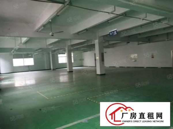  龙华大浪上横朗第二工业区1550平红本厂房，真实价格21块