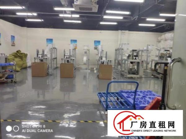  大浪商业中心附近大型园区新出整层550平带装修厂房出租