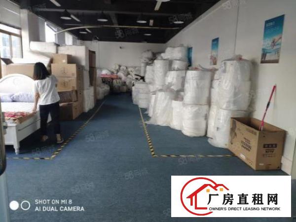  大浪商业中心附近大型园区新出整层550平带装修厂房出租