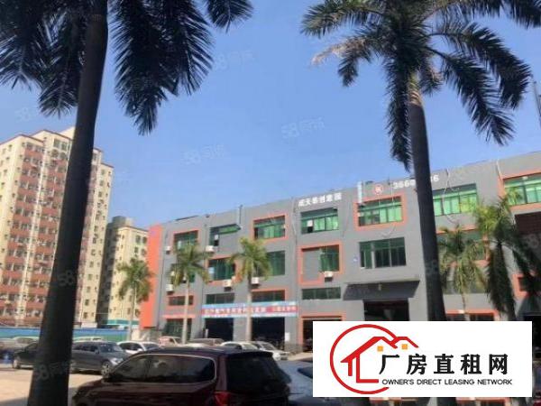  大浪商业中心附近大型园区新出整层550平带装修厂房出租