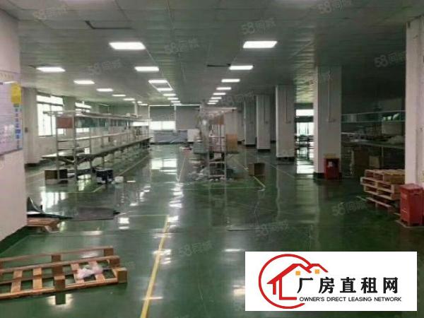  大浪上横朗工业区现有带装修厂房一层1600平方米出租
