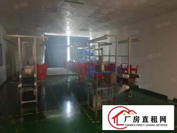  大浪富隆特工业区450平现成精装厂房免转让费急租