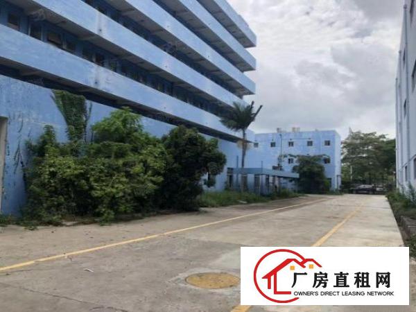  龙华大浪原房东新出一楼480平低价出租