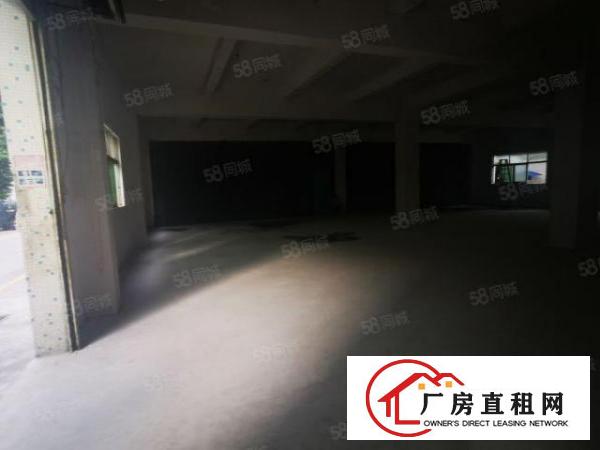  龙华大浪原房东新出一楼480平低价出租