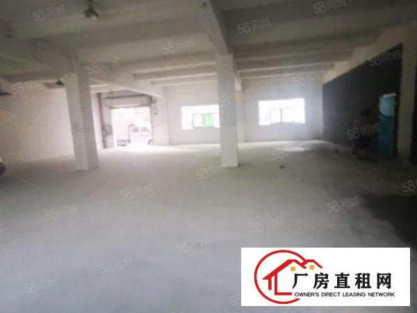  龙华大浪原房东新出一楼480平低价出租