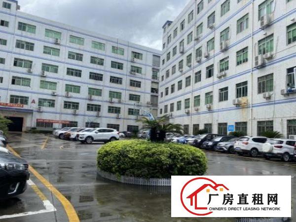  龙华大浪劳动者广场，小面积厂房420平出租，适合电子贸易加工