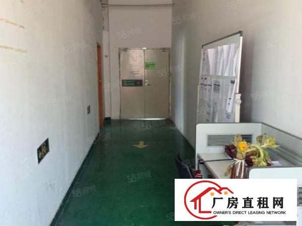  龙华大浪华兴路1000平精装厂房出租免转让费