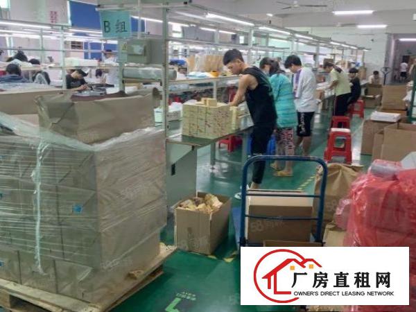 龙华大浪华兴路1000平精装厂房出租免转让费