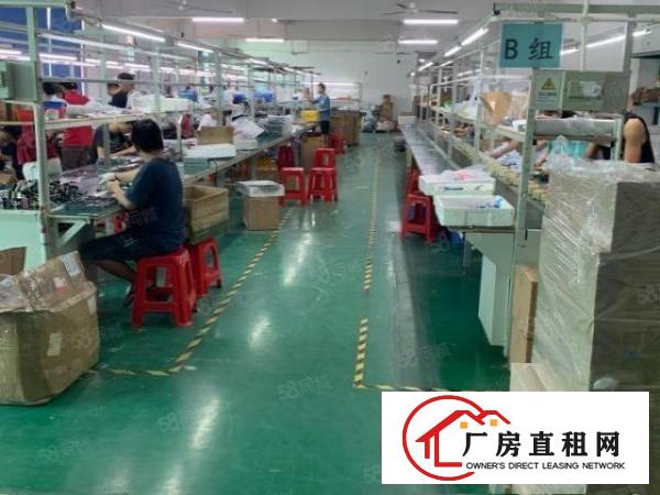 龙华大浪华兴路1000平精装厂房出租免转让费