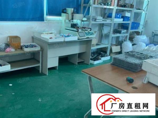  龙华大浪华兴路1000平精装厂房出租免转让费