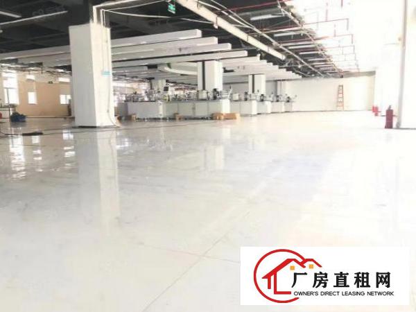  龙华大浪红本工业厂房楼上整层2800平方厂房出租