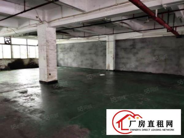  龙华大浪老工业区新出1楼687平标准厂房出租