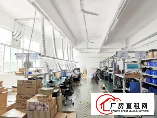  龙华天虹附近88~480平方小面积办公室仓库厂房招租