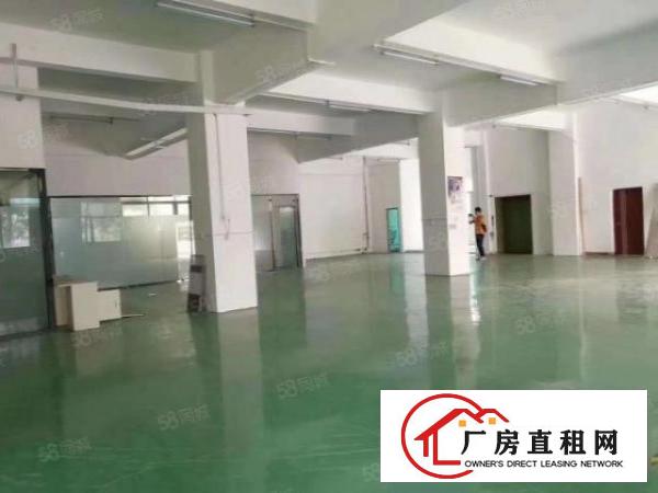  龙华主干道布龙路边羊台山地铁站附近一楼650平精装修厂房招租