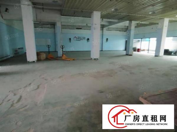  出租龙华大浪1000平钢构厂房，砖墙到顶，层高6米
