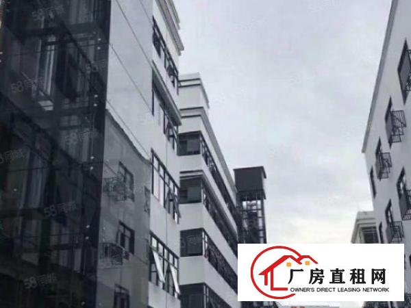  大浪商业中心附近新出3楼560平精装修适合办公贸易展厅