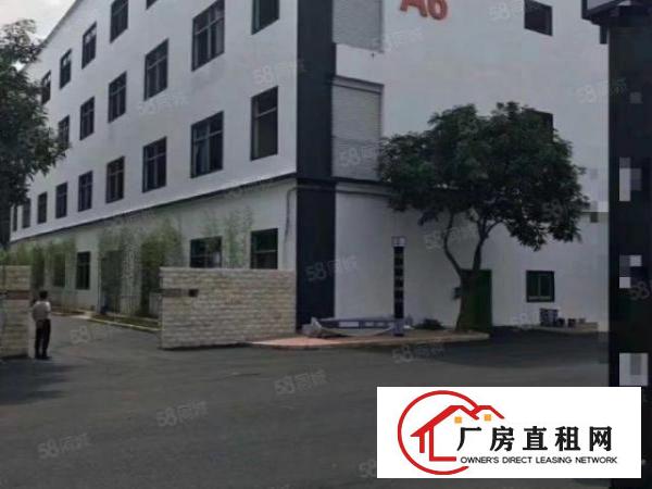  大浪商业中心附近新出3楼560平精装修适合办公贸易展厅
