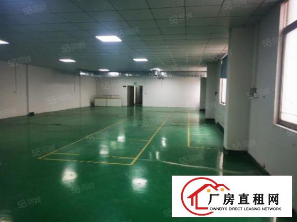  大浪商业中心原房东新出楼上750豪华装修直接领包入住