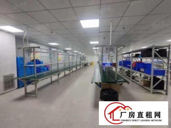  龙华大浪成熟园区整层厂房出租1200平带精装修