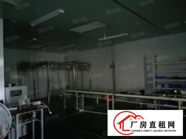  大浪新出豪华精装修400平带无尘车间厂房招租
