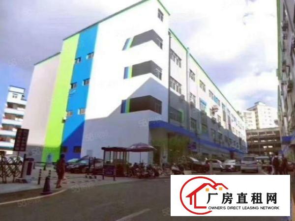  大浪华荣路附近新出一楼600平带装修厂房出租