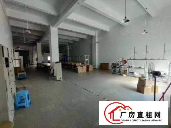  大浪华荣路附近新出一楼600平带装修厂房出租