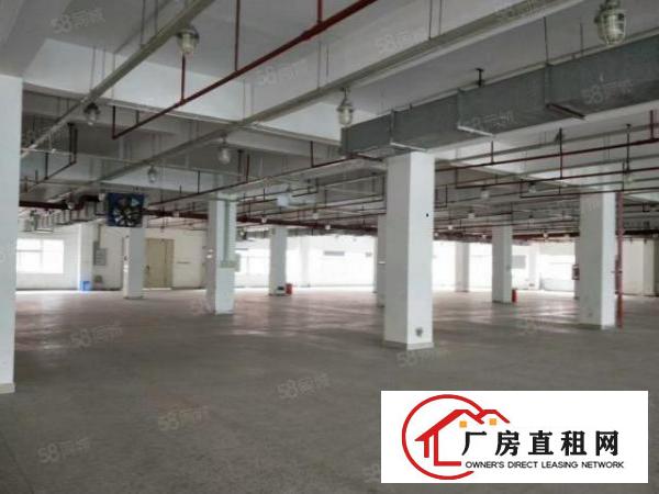  出租红本厂房3万平可做数据库等行业可分租