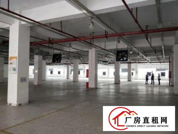  出租红本厂房3万平可做数据库等行业可分租