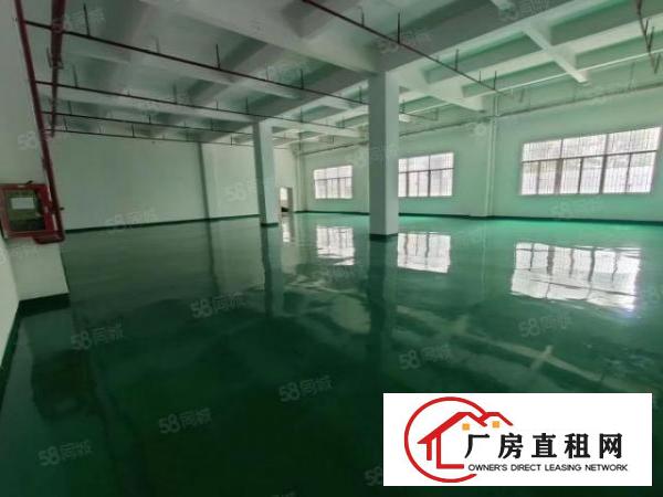  龙华大浪河背一楼厂房700平招租，租金30元