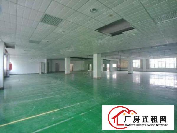  龙华大浪时尚小镇附近五楼精装2560平方厂房出租，园区环境好
