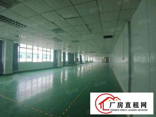  龙华大浪时尚小镇附近五楼精装2560平方厂房出租，园区环境好