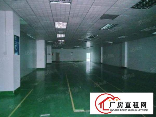 龙华大浪时尚小镇附近五楼精装2560平方厂房出租，园区环境好