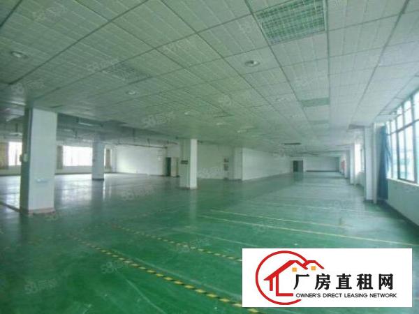  龙华大浪时尚小镇附近五楼精装2560平方厂房出租，园区环境好