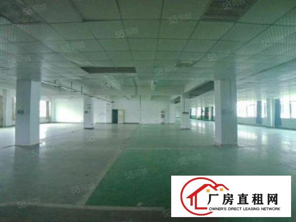  龙华大浪时尚小镇附近五楼精装2560平方厂房出租，园区环境好