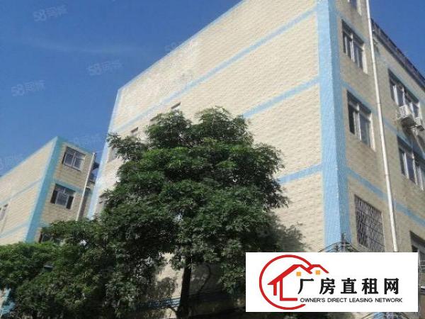  龙华ICO附近有3901100平厂房电商，贸易仓库的看过来