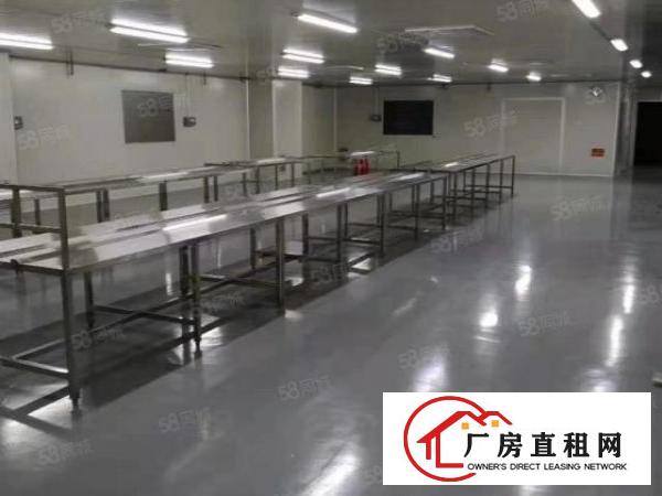  大浪裕景泰工业园原房东无公摊600平三楼带精装修无尘车间厂房