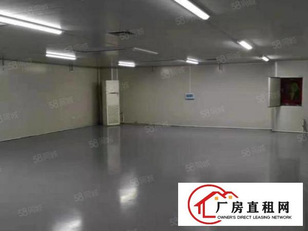  大浪裕景泰工业园原房东无公摊600平三楼带精装修无尘车间厂房