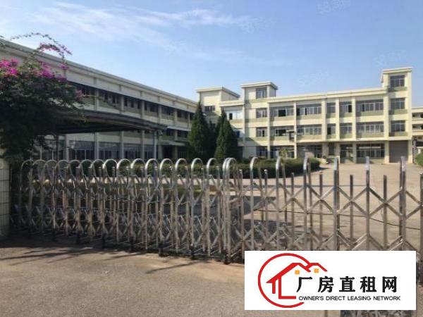  大浪商业中心附近7800平米独院厂房出租（可分租）