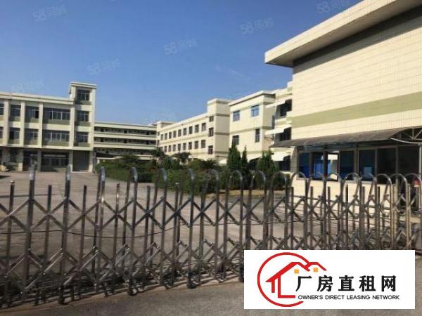  大浪商业中心附近7800平米独院厂房出租（可分租）