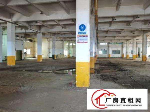  龙华新区大浪中心区13000平独院原房东出租