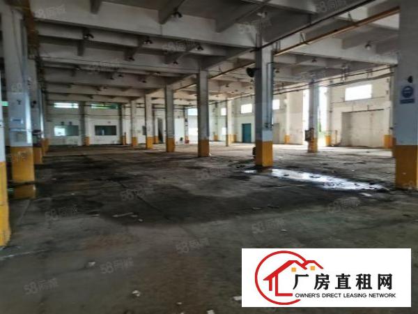  龙华新区大浪中心区13000平独院原房东出租