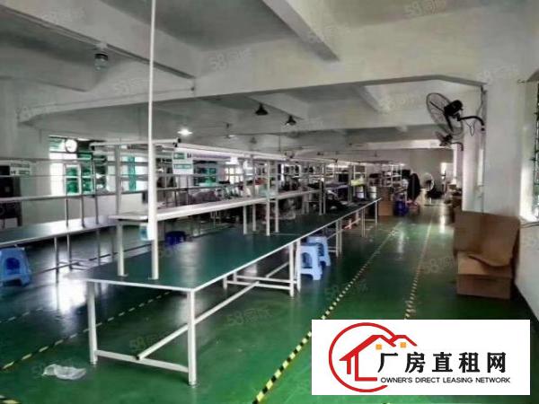  出租龙华大浪新百丽附近新出楼上2000平精无公摊厂房出租.