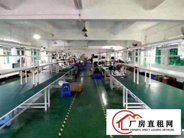  出租龙华大浪新百丽附近新出楼上2000平精无公摊厂房出租.
