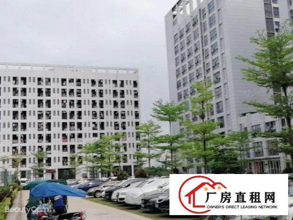  龙华时尚小镇350平方带装修办公室出租园区形象好好停车