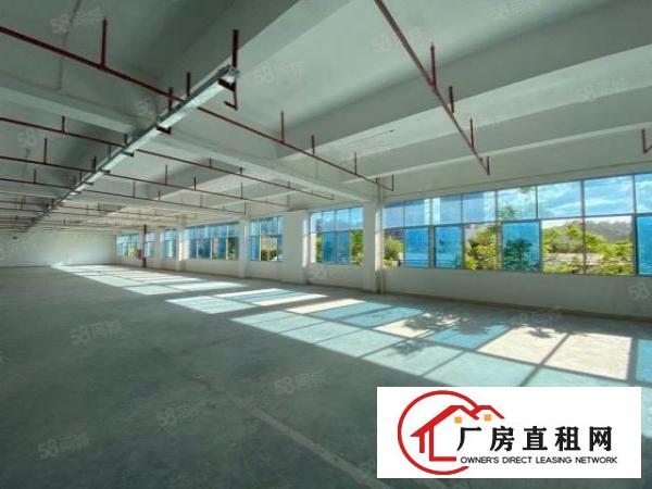 布吉联创科技园厂房开发商直租享政府补贴3年