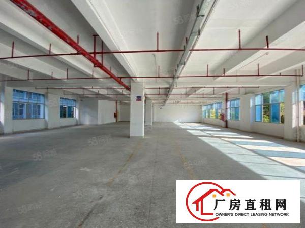  布吉联创科技园厂房开发商直租享政府补贴3年